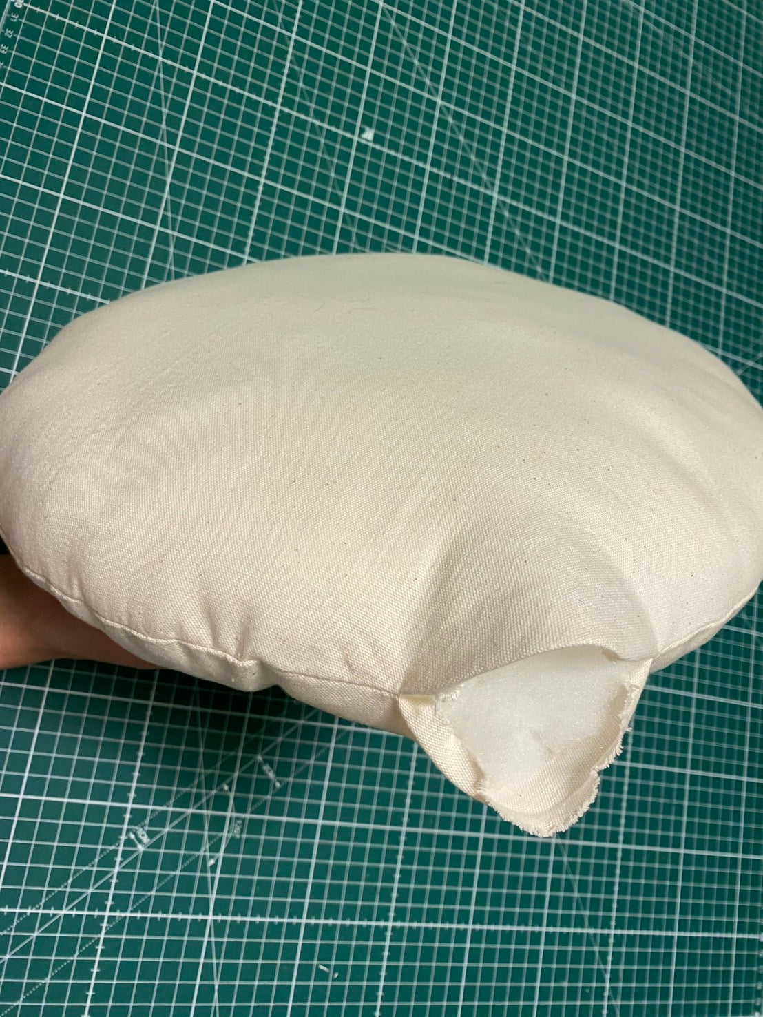 COZZYZ CUSHION & CUSHION COVER